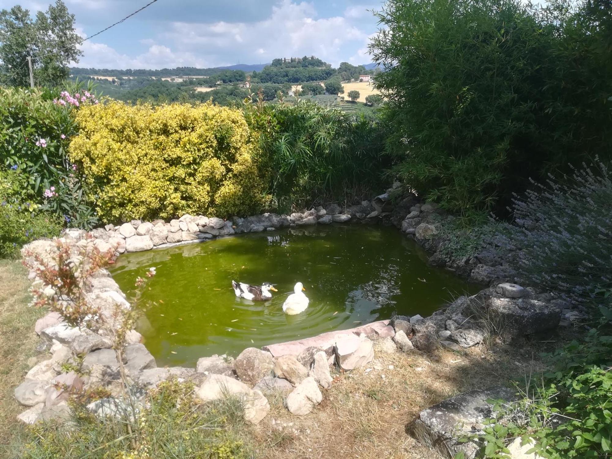 Villa La Piccola Fattoria à Todi Extérieur photo