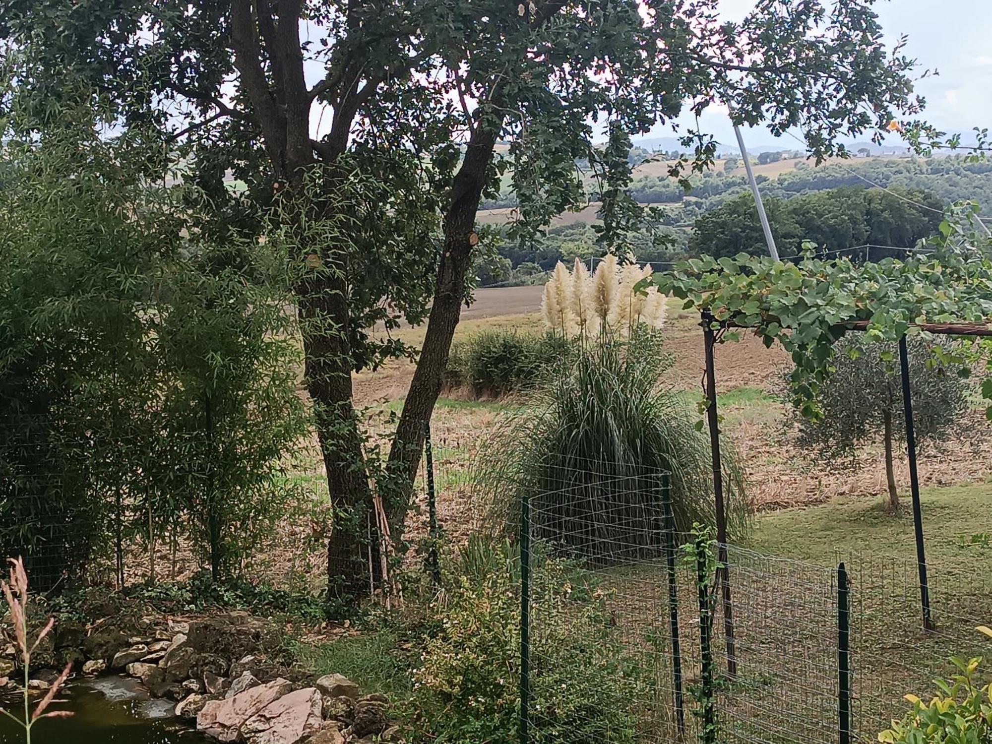 Villa La Piccola Fattoria à Todi Extérieur photo